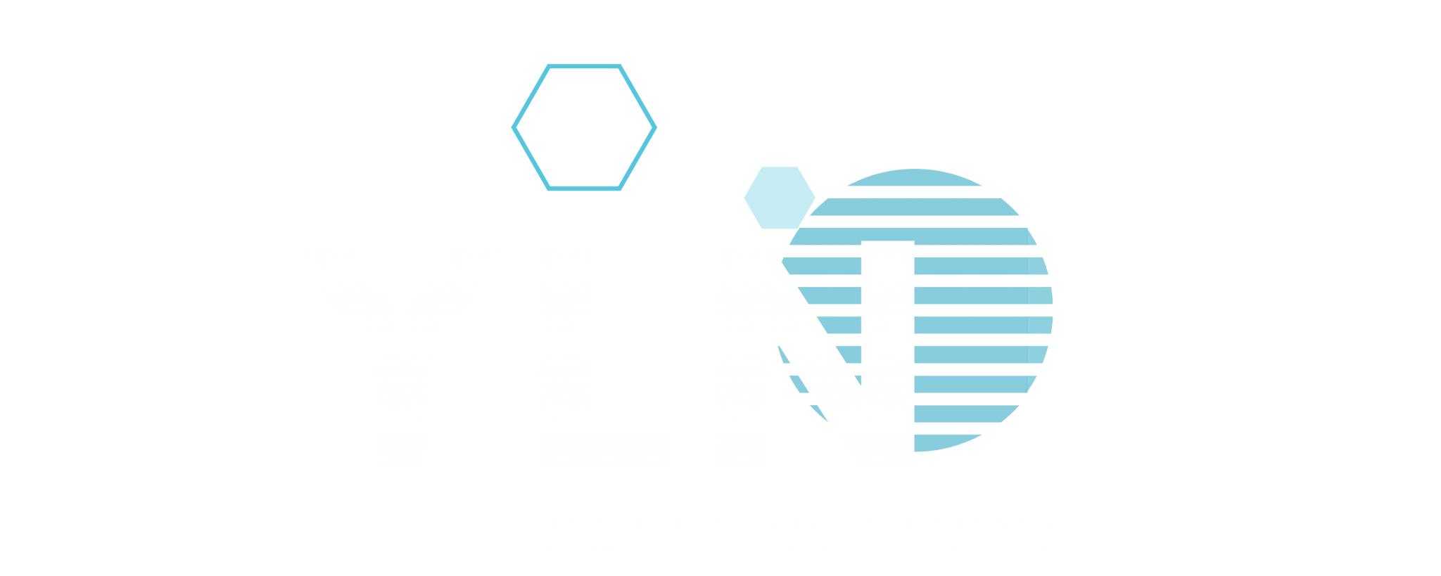 YLN Développement logo